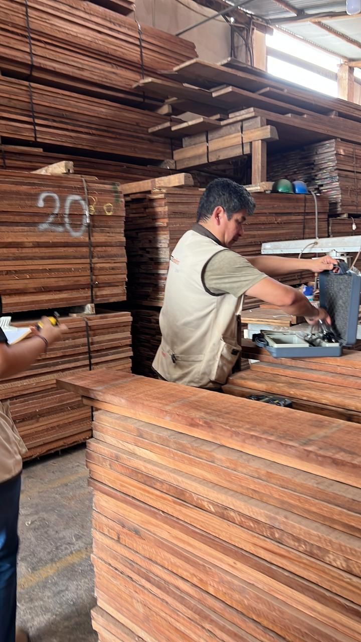 Personal midiendo madera aserrada apilada dentro del horno de secado