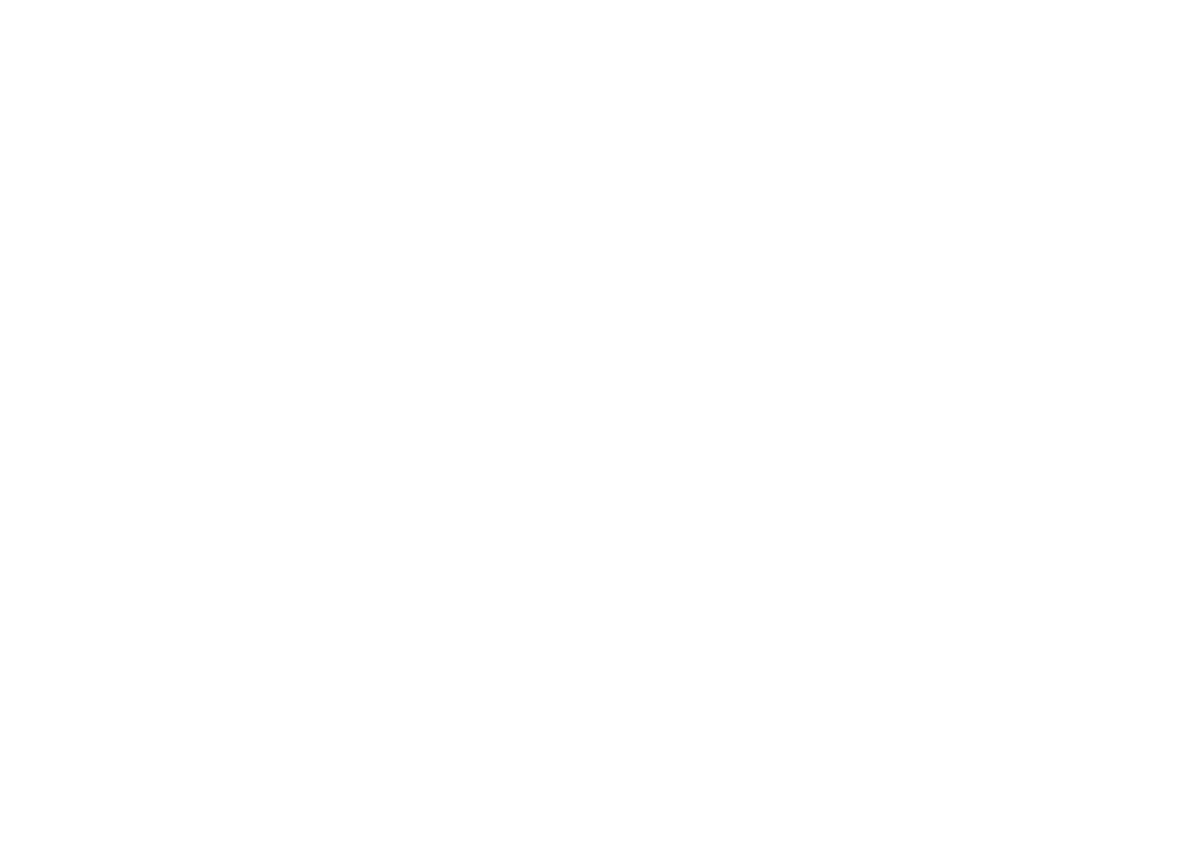DISMARDI S.A.C.